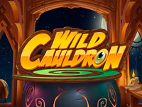 Wild Cauldron