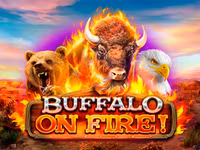 Buffalo on Fire