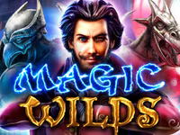 Magic Wilds