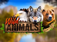 Wild Animals