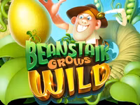 Beanstalk Grows Wild