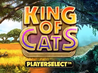 King Of Cats