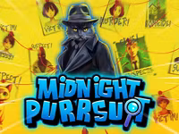 Midnight Purrsuit