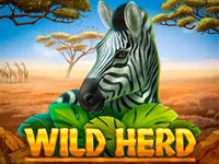 Wild Herd