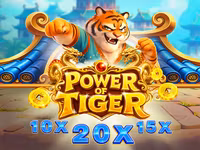 Power Of Tiger