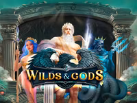 Wilds & Gods