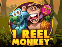 1 Reel Monkey
