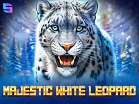 Majestic White Leopard
