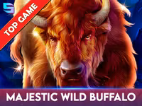 Majestic Wild Buffalo