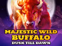 Majestic Wild Buffalo - Dusk Till Dawn