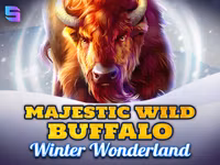Majestic Wild Buffalo - Winter Wonderland