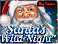 Santa’s Wild Night