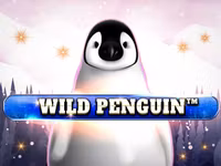 Wild Penguin