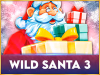 Wild Santa 3