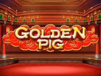 Golden Pig