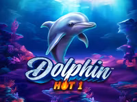 Dolphin Hot 1