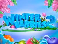 Winterberries 2