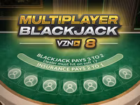 Blackjack VZN 8