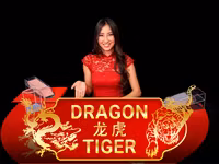 Dragon Tiger Live