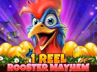 1 Reel - Rooster Mayhem